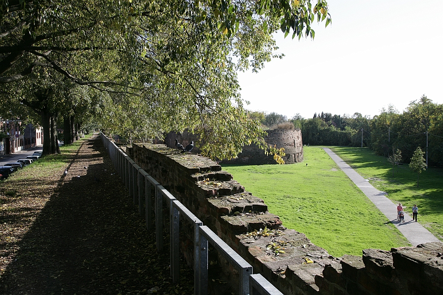 Img 166.jpg